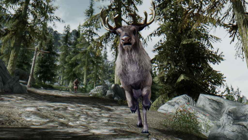  Skyrim   ENB 