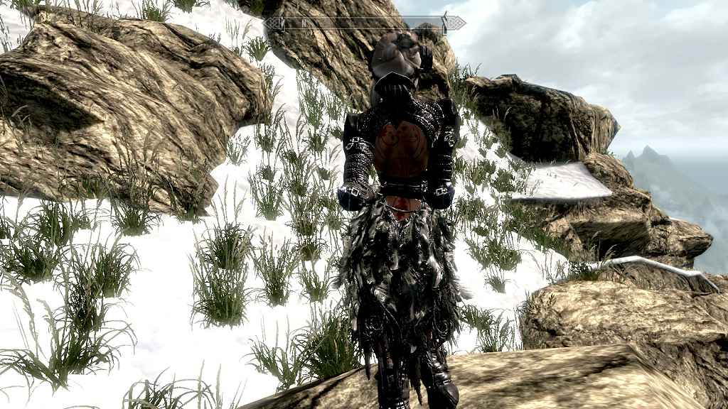  Skyrim      (UNP)