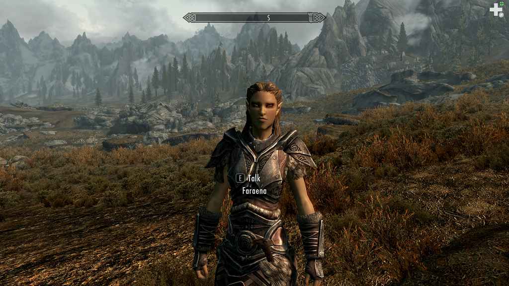  Skyrim      (Faraenaan Altmer follower)