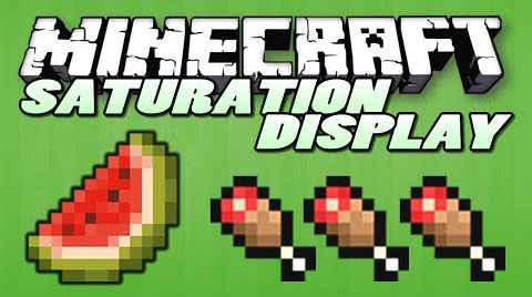 Minecraft 1.7.2  Saturation Display