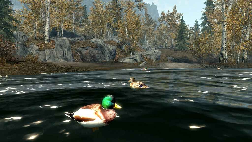  Skyrim    . (Ducks and Swans for Skyrim)