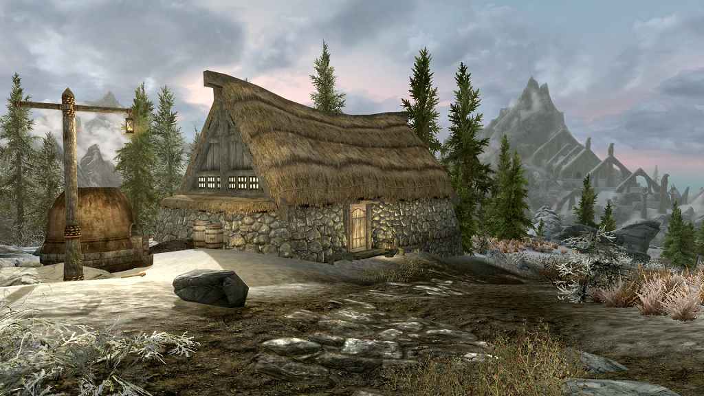  Skyrim    