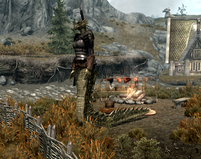  Skyrim   