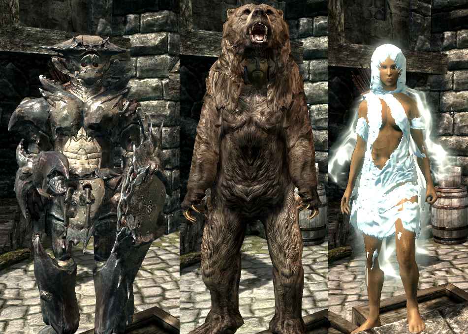  Skyrim   ,    / Mudcrab Bear Wisp Armor