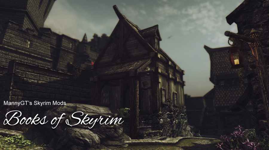  Skyrim   