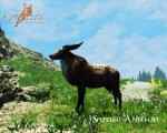 skyrim-bolee-100-novyx-zhivotnyx 3