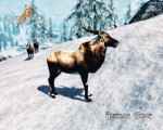 skyrim-bolee-100-novyx-zhivotnyx 10