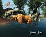 skyrim-bolee-100-novyx-zhivotnyx 6