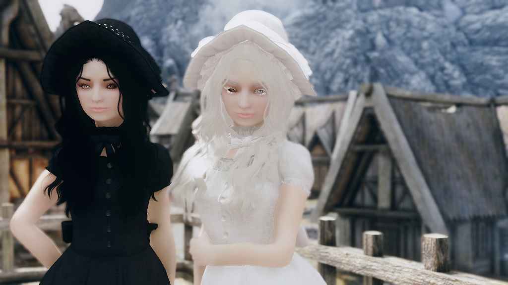  Skyrim     / Blanc and Noir  Guard Number 1s Custom Followers