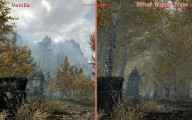 Riften Bigger Trees