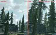 Skyrim Bigger Trees