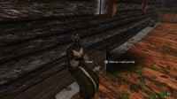 skyrim-mod-pozvolyayushhij-sdelat-lyubogo-npc-sputnikov 3