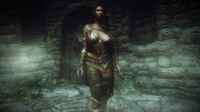 skyrim-novye-tekstury-dlya-bagrovaya-bronya-sumraka 3