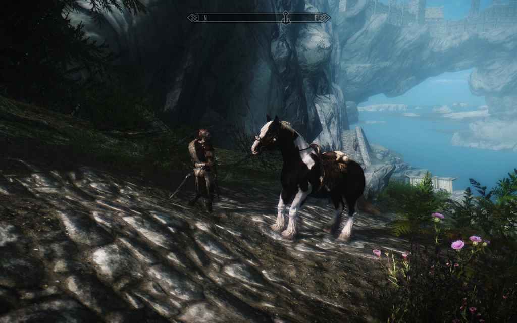  Skyrim   NPC  