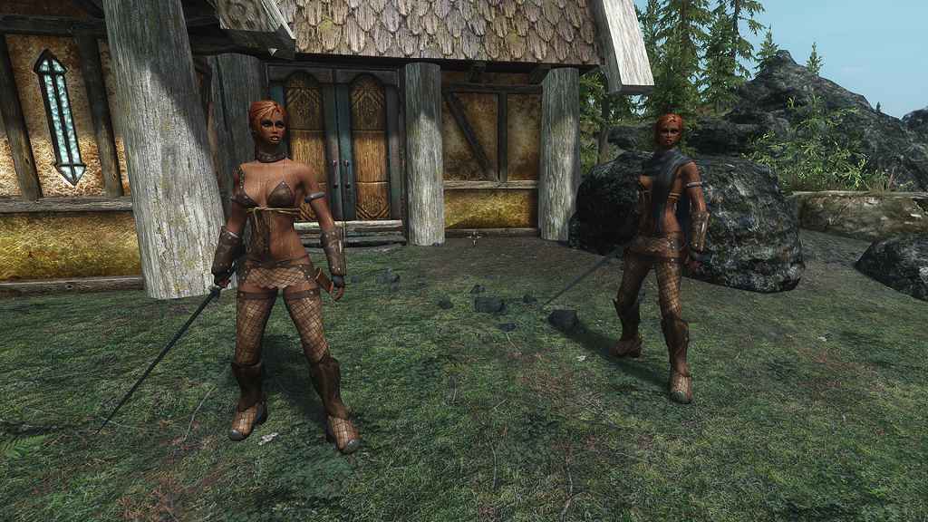  Skyrim  PeCools armors replacement /    PeCool