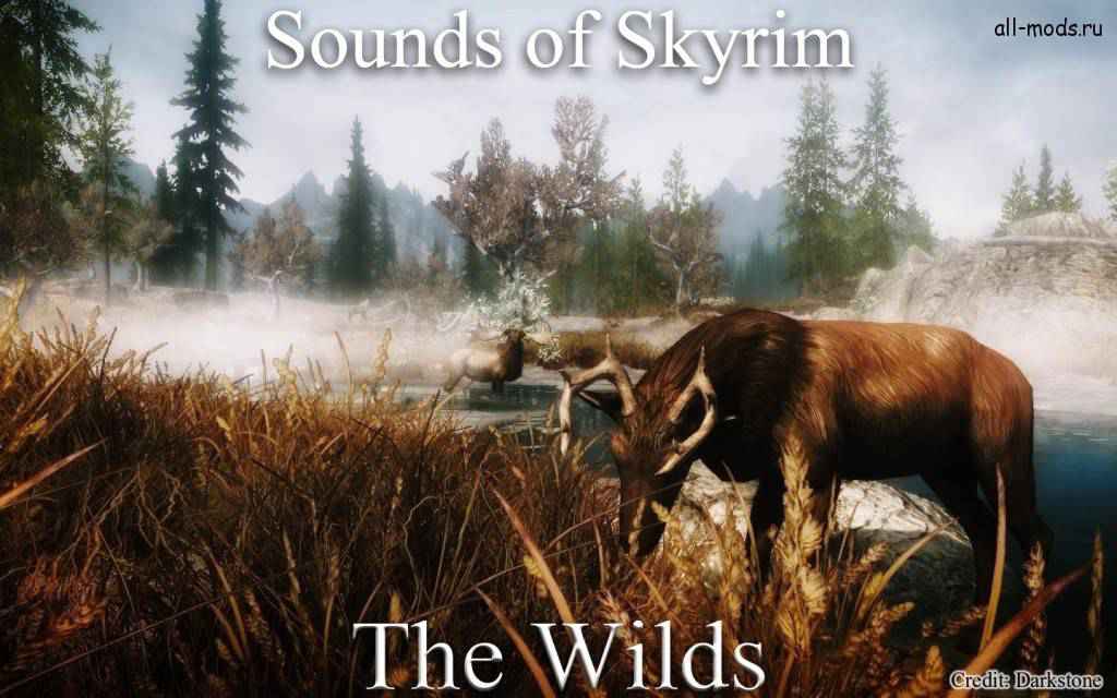  Skyrim    