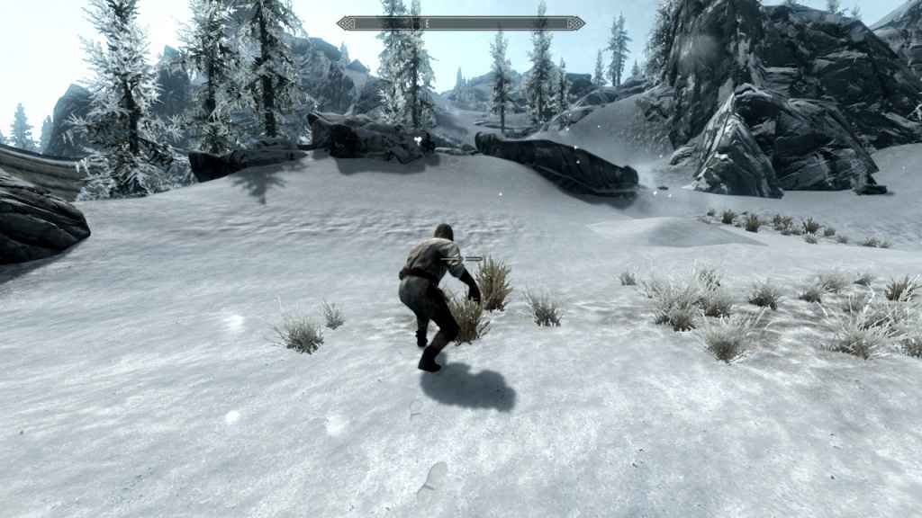  Skyrim    