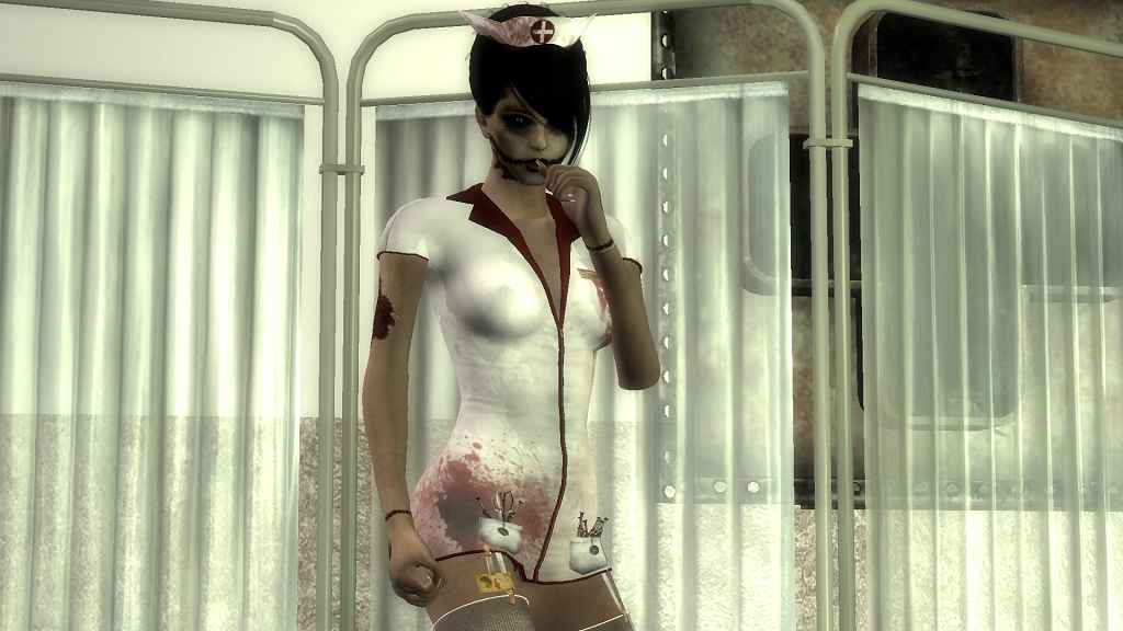  Fallout NV   D (MD Nurse D StandAlone Companion)