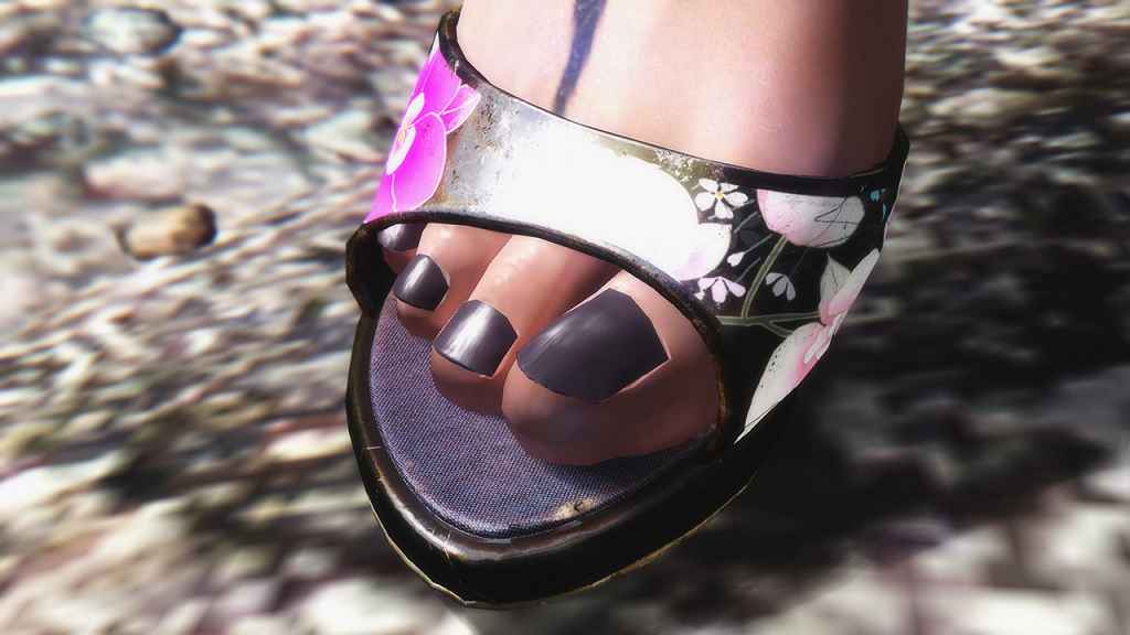  Skyrim    (Charming High Heels for CBBE HDT)