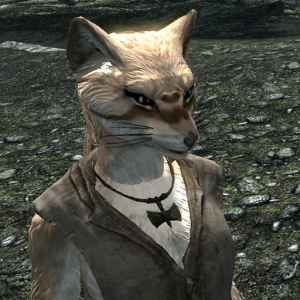  Skyrim    (Playable Fox Race)