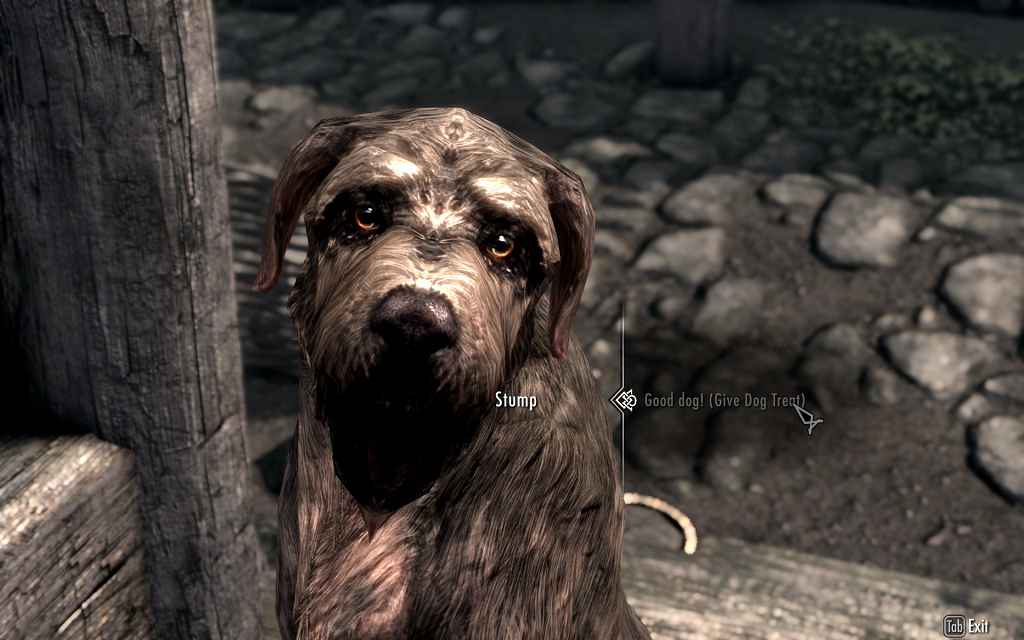  Skyrim    (Feed The Animals)