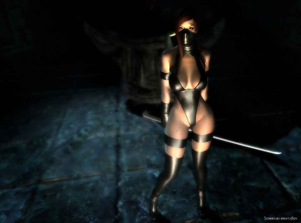  Skyrim    (Skimpy Assassin Outfit (SAO))