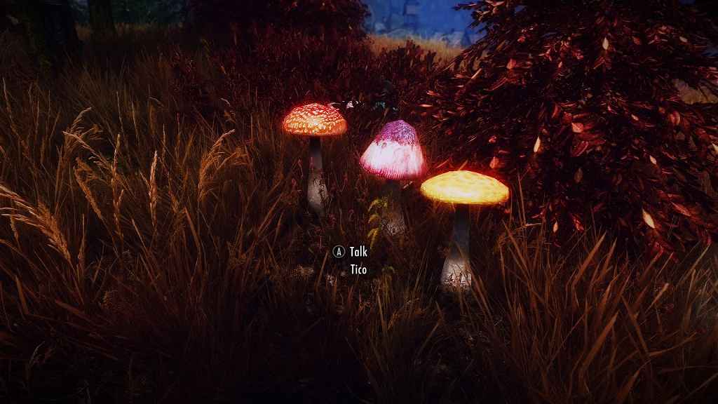  Skyrim  - (Mushroom Followers)