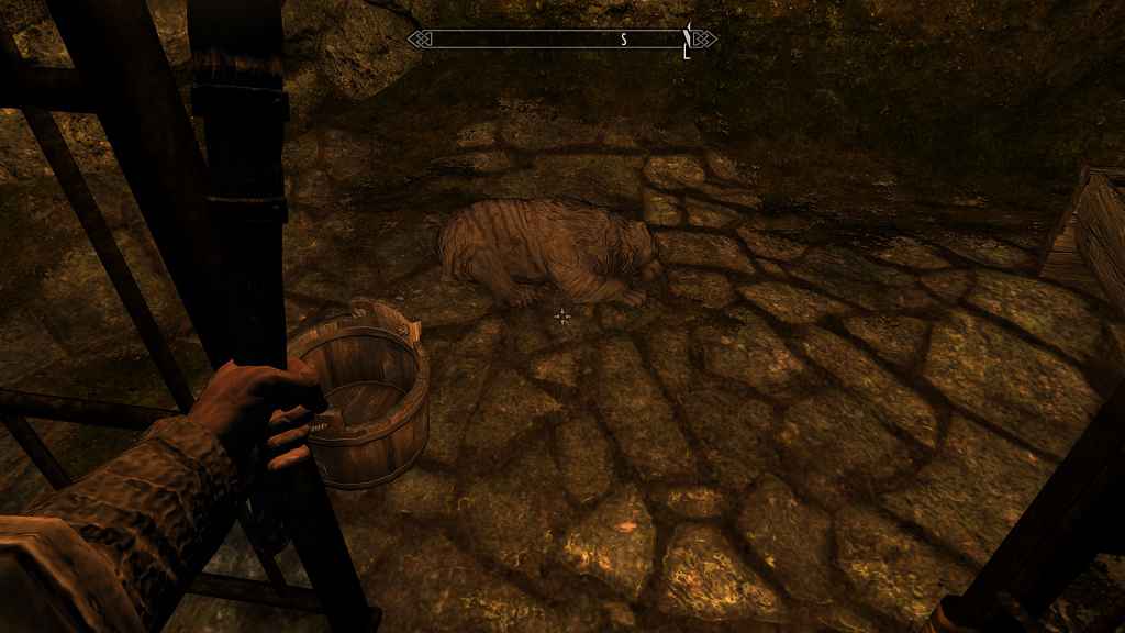  Skyrim    (Chinook Bear Companion)