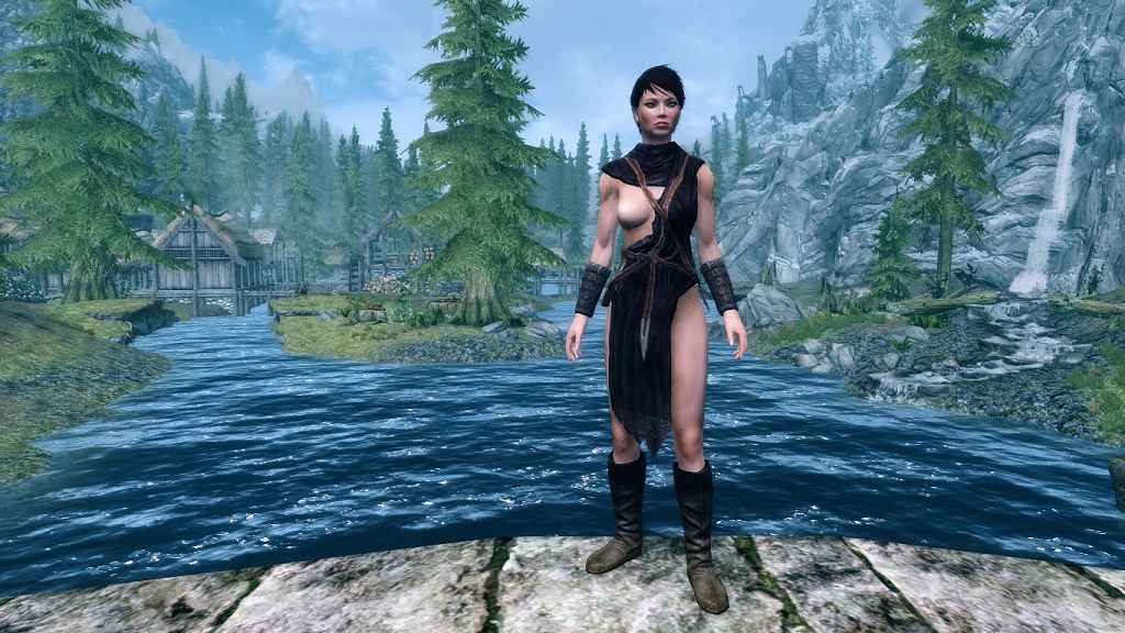  Skyrim    HDT (Wild Guard Armor CBBE HDT)