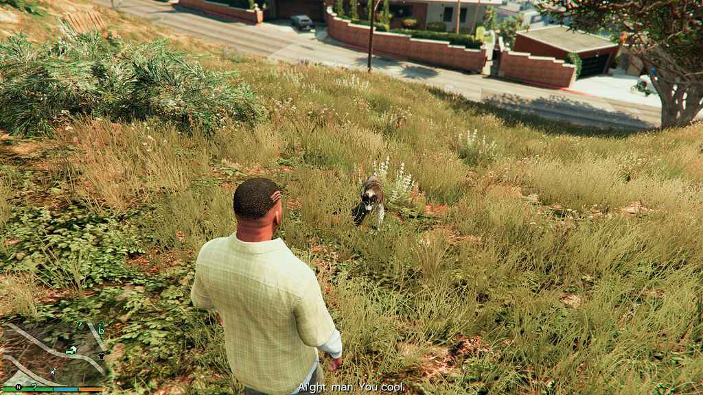  GTA 5     (Chop to Husky Mod)