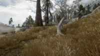 skyrim-neveroyatnaya-trava-2-unbelievable-grass-two 3