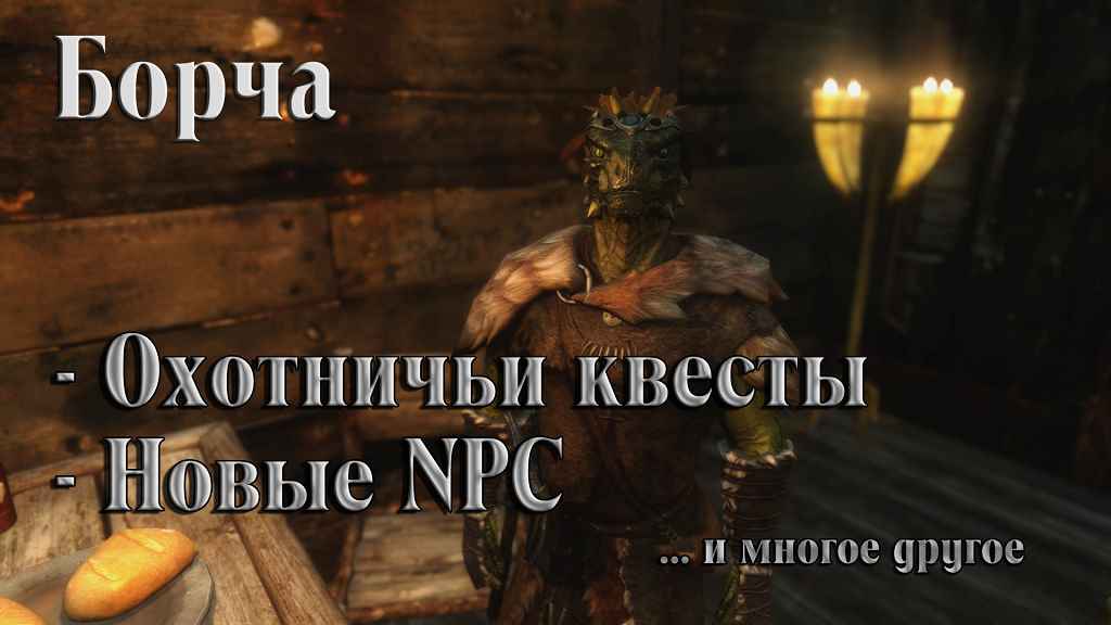  Skyrim      +  NPC  