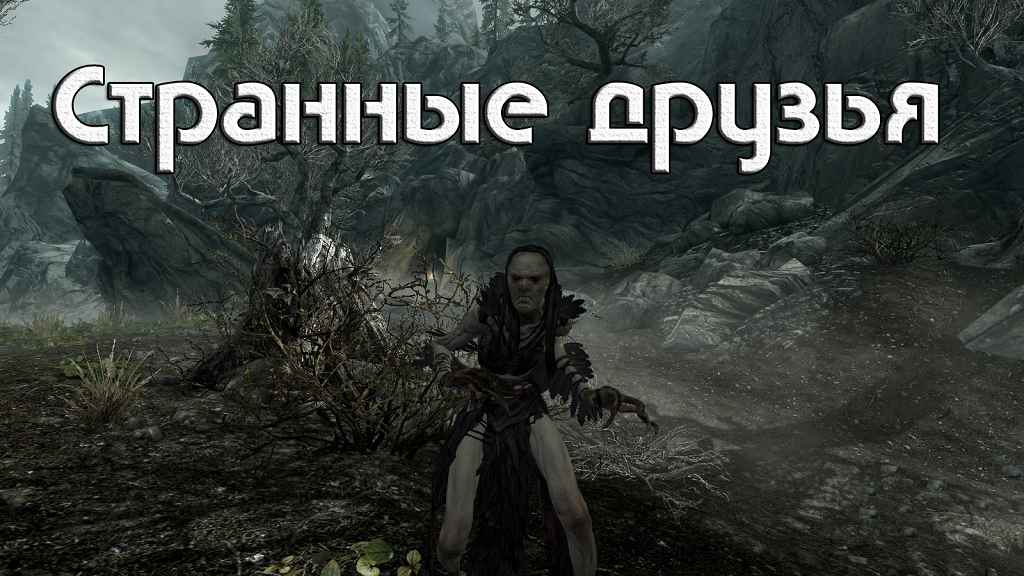  Skyrim       ,    !