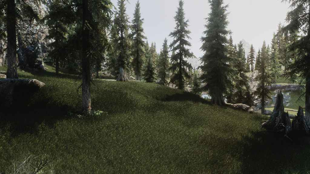  Skyrim   / Grass Field