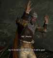 skyrim-deris-ili-begi 3