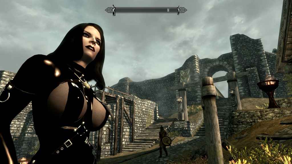  Skyrim    