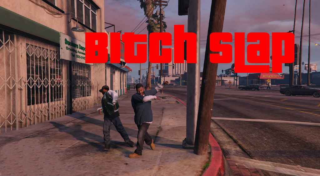  GTA 5   (Bitch Slap)