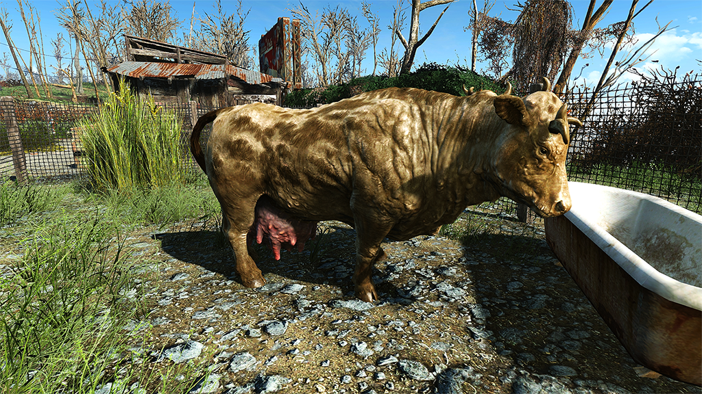 Мод Fallout 4 — Новая расцветка Браминов (Ceanos Brahmin)