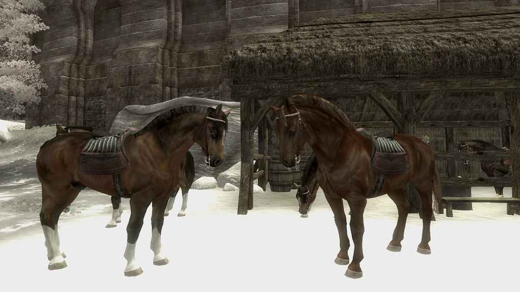 Мод Oblivion — Новая модель для лошадей
