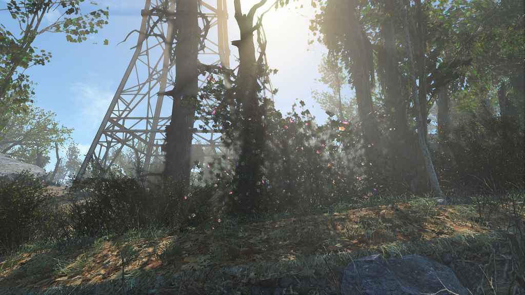 Мод Fallout 4 — Зелёное Содружество