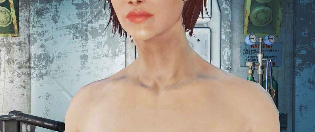 Мод Fallout 4 — Обнаженные текстуры тел для девушек (CBBE)