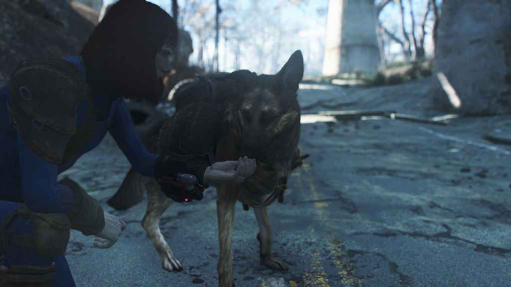 Мод Fallout 4 — Рюкзак для пса