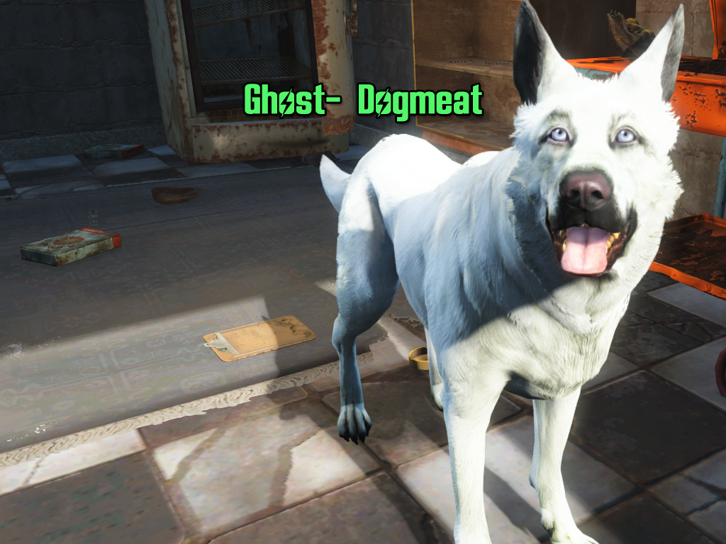 Мод Fallout 4 — Белая собака «Призрак»