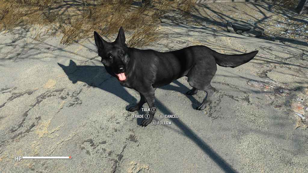 Мод Fallout 4 — Черный пес «Тень»