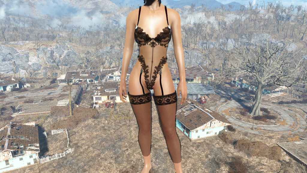 Fallout 4 — Дамское белье
