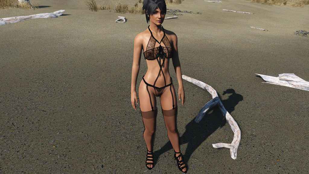 Мод Fallout 4 — Женское белье и обувь (CBBE)