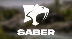 Embracer Group   Saber Interactive  $247 